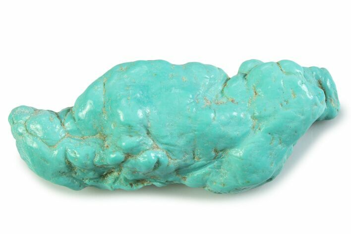 Polished Chilean Turquoise ( grams) Nugget #358840